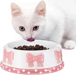 ceramic cat food bowls